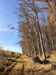 Fotografia z TallWanderBilly na trase