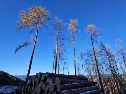 Fotografie z Birgit Poettler na trase
