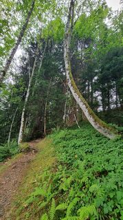 Photo de Nicoletta Adamo76 le long du parcours