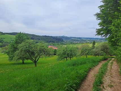 Photo de Wanderbursche66 le long du parcours