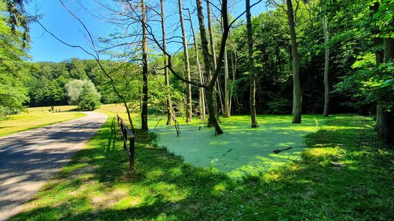 5.5 km Biotop Mokrad'
