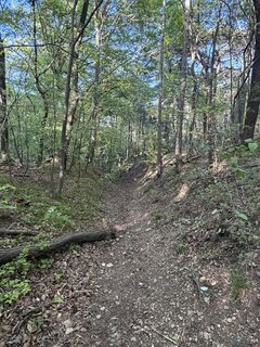 Foto von László Soós 2 entlang der Tour