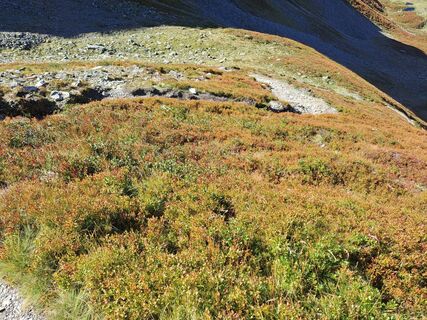 Foto von Wanderbursche66 entlang der Tour