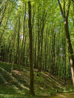 Fotografija s spletne strani HOJ_09 na poti