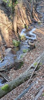 Foto van nepaltoni langs de tour