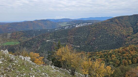 Photo from Alexandra Stani along the tour