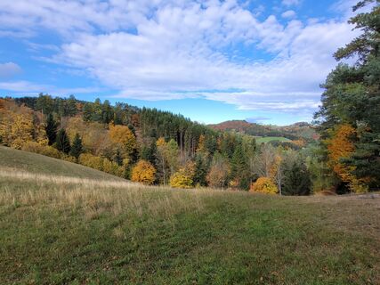 Photo de Fischermichaela03 le long du parcours