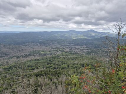 Foto von Wollomator entlang der Tour