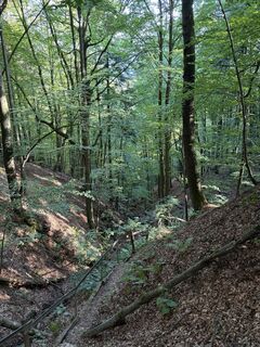 Photo de Nico ?️ le long du parcours
