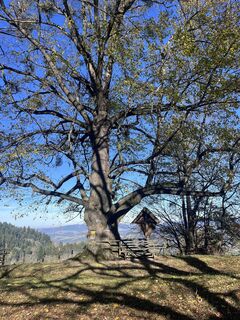 Foto från Margit Karl under resans gång