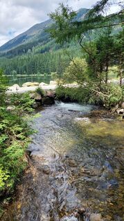 Fotografija s spletne strani Angel Lacook na poti
