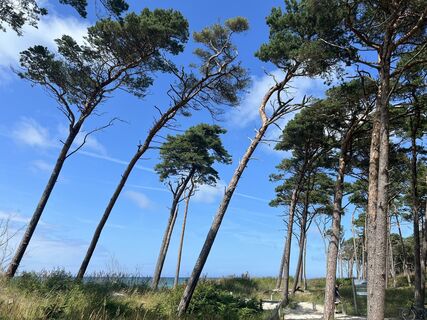 Zdjęcie z Alexandra von Rheinbaben wzdłuż trasy