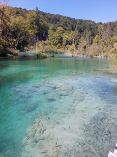 Fotografie z Horst Guschelbauer na trase