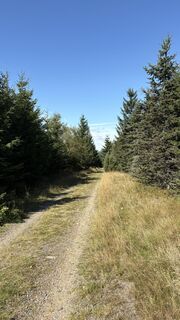 Fotografia z Richard Vlcek na trase