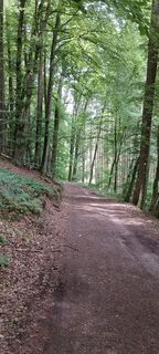 Foto von Uwe Bähtz entlang der Tour