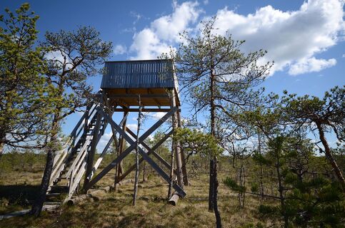 Aussichtsturm am Rundweg Kirveslampi