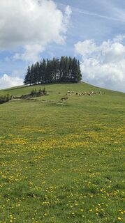 Photo de Daniela L. le long du parcours