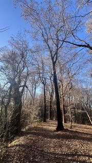 Zdjęcie z Dazza wzdłuż trasy