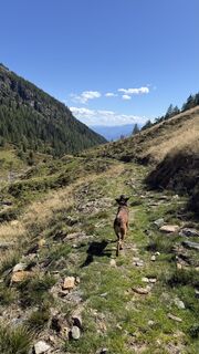 Foto von Lena Ho entlang der Tour