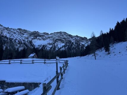 Foto von Alpinia entlang der Tour