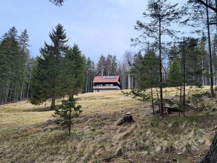 Fotografia z Igor napast na trase