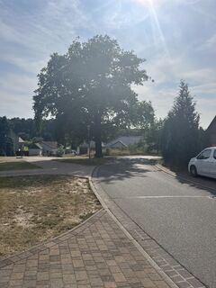 Fotografija s spletne strani Henrik 1 na poti