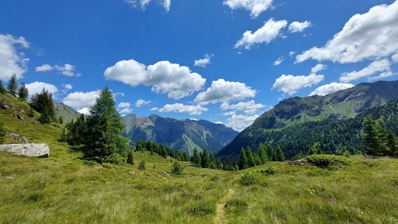 Foto von magicschurl entlang der Tour