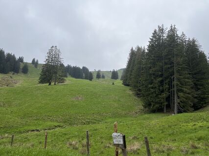 Foto von Heinz Sperl entlang der Tour