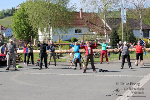 Nordic Walking Vinotour