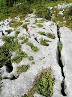 Da war einmal ein Gletscher, vor langer, langer Zeit