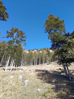 Foto fra Bergpirat underveis på turen