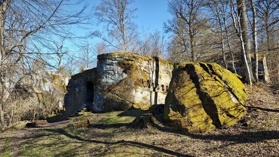 Fotografia z Alexander S na trase