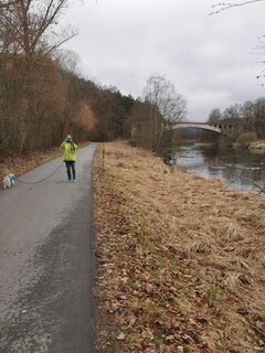 Foto von Waldläufer entlang der Tour