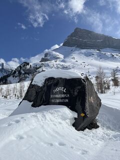 Fotografija s spletne strani Catrin Guddat na poti