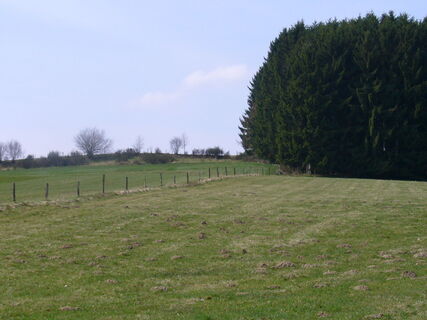 Zemljevid
