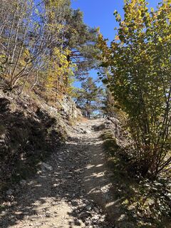 Fotografija s spletne strani Andreas Zenleser na poti