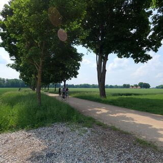 Donaumoos