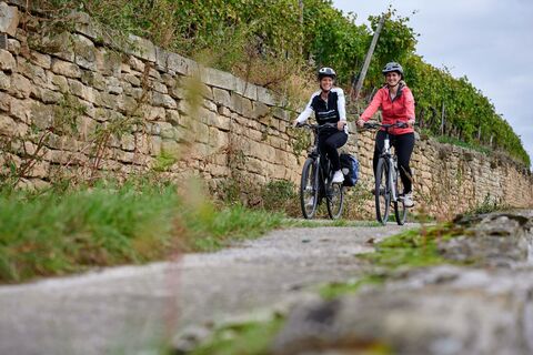 Radfahren DSC9671 Bietigheim Bissing Kraichgau Stromberg Tourismus e V Christian Ernst