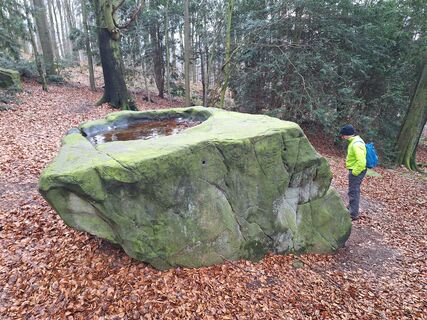Bad_Münder_Nordmannsturm_20231230_113206.jpg