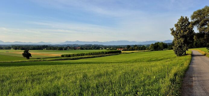 Photo de Thomas Schekira le long du parcours