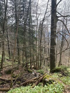 Foto von Renate Wersching entlang der Tour