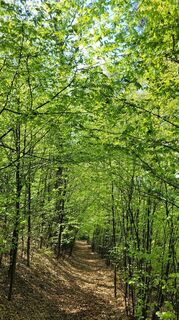 Fotografie z Juliane Jarke na trase