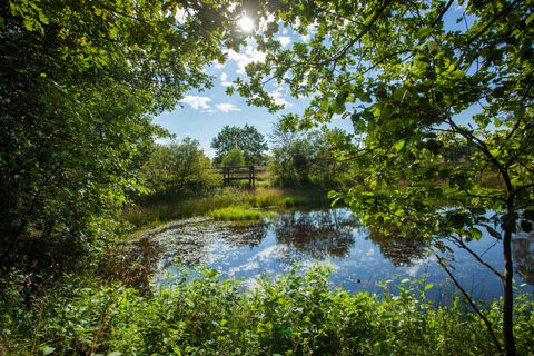 teich-lueneburger-heide