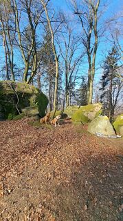 Photo de Anita Lunzer 1 le long du parcours