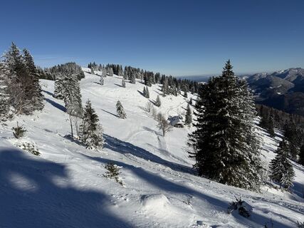 Fotografija s spletne strani Natur_erleben_dg na poti