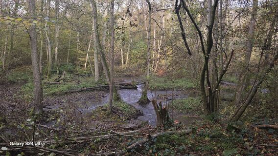 Zdjęcie z Edit Szoboszlay wzdłuż trasy