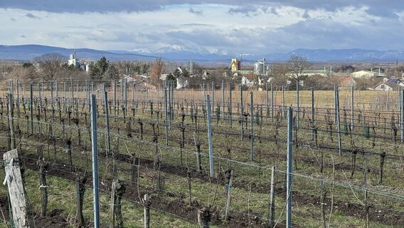 Fotografija s spletne strani Werner Wild na poti