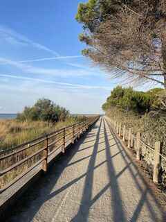 Fotografia z Alberto Ghiretti na trase