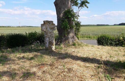 Die Kreuze aus Tuff: Ercourt - Franleu