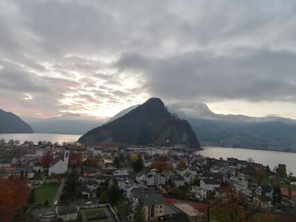 Fotografija s spletne strani luyyy na poti